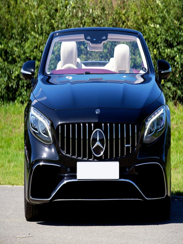 pexels-mikebirdy-27414168 (1)